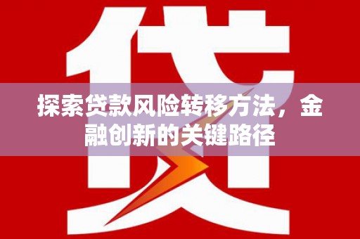 普定探索贷款风险转移方法，金融创新的关键路径
