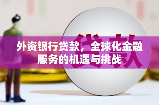 普定外资银行贷款，全球化金融服务的机遇与挑战