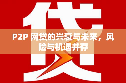 普定P2P 网贷的兴衰与未来，风险与机遇并存