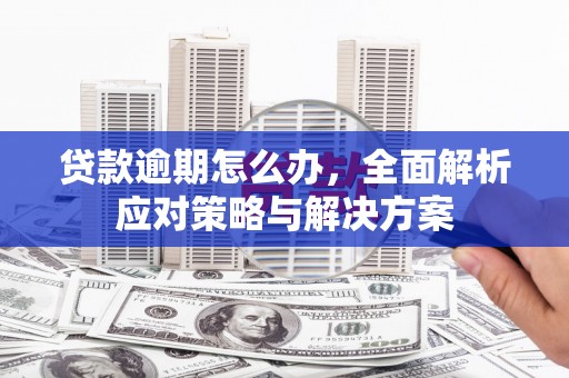 普定贷款逾期怎么办，全面解析应对策略与解决方案