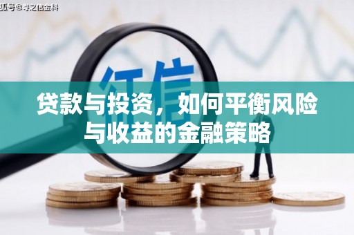 普定贷款与投资，如何平衡风险与收益的金融策略