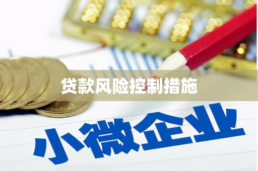 普定贷款风险控制措施