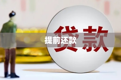 普定提前还款