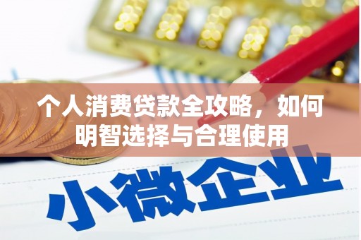 普定个人消费贷款全攻略，如何明智选择与合理使用