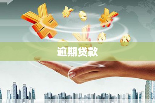 普定逾期贷款