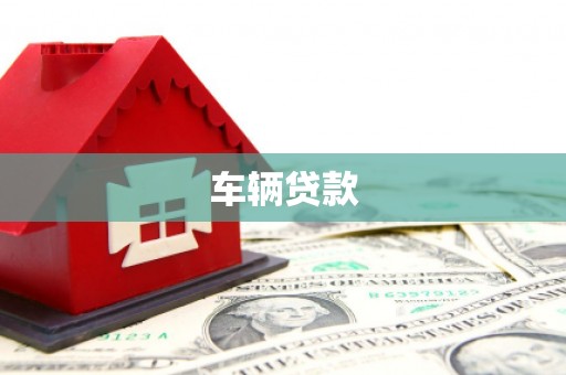 普定车辆贷款